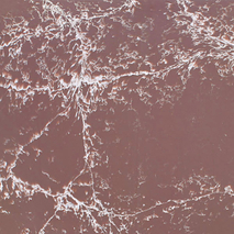 Scintilla Brown Quartz Kitchen Countertops Ideas