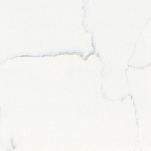 Super Cararra White Kitchen Quartz Countertops