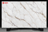 Gray Gold Branch Texture Printed Quartz