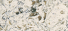 Oyster Quartz Countertops