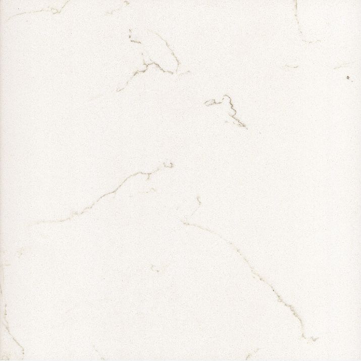 SS6141 Shadow 疏影