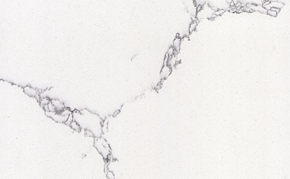 SQ6154--Super-Cararra